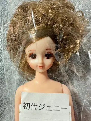 리카짱 캐슬 오타노시미 인형 초대 제니 앞머리 사이드 아프로 포니