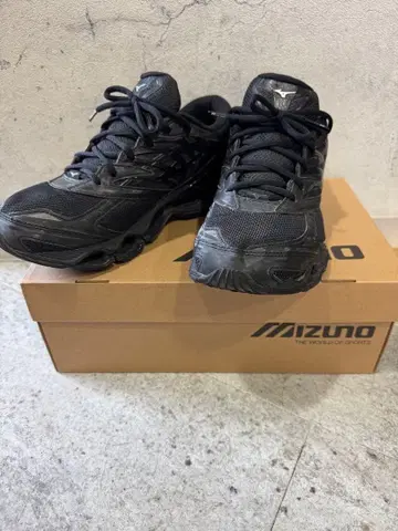 MIZUNO 웨이브 프로페시 28