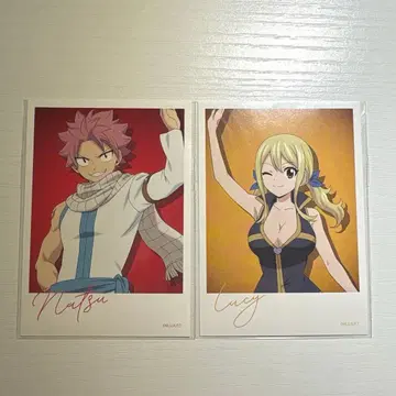 FAIRYTAIL 페어리 테일 나츠 루시 미니 사진