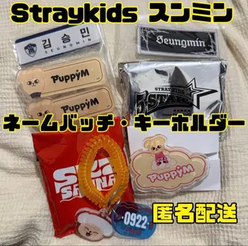Straykids 승민 명찰 키링 SKZOO