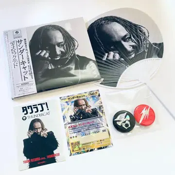 썬더캣 CD 포켓몬 카드 배지 스티커