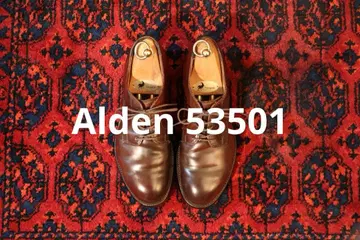 Alden 53501 코도반 #8