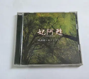 THE PIASS 비아소 아키나즈나