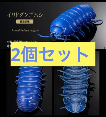 생물대도감 어드밴스 쥐며느리 (중 페인팅판) 이리도 쥐며느리 2개
