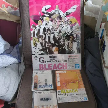 BLEACH 제일복권 이치고 세트
