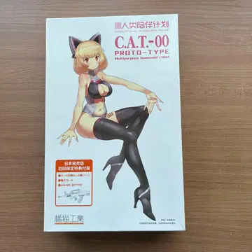다목적 휴머노이드 로봇 CAT