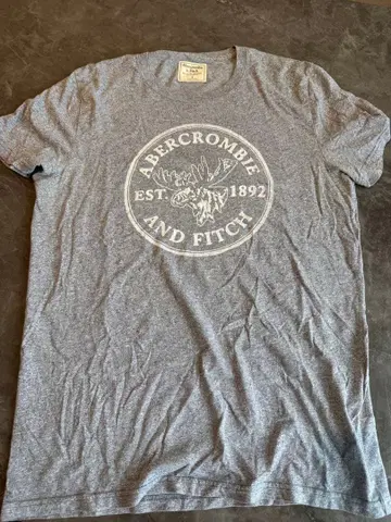 Abercrombie & Fitch T셔츠 그레이 S