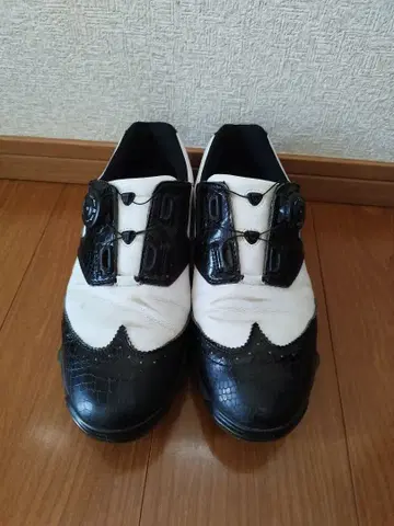 혼마 스파이크 HONMA 골프화 26