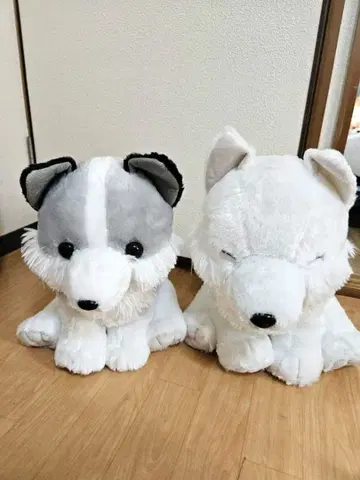 복슬복슬 늑대 기분 봉제 인형 2종 세트