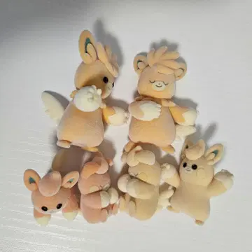 파모 복슬복슬 인형 6종 세트