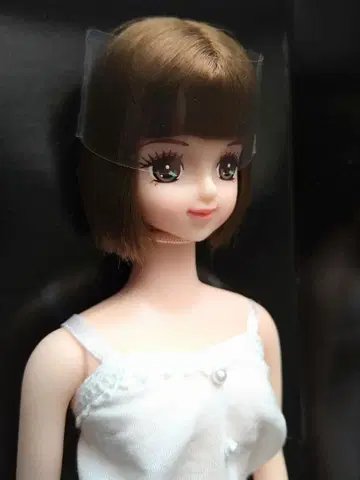 리카짱 캐슬 제니 프렌드 아야노 박스 포함