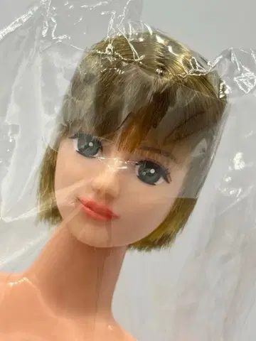 타쿠미 리카짱 캐슬 오타노시미 인형 금발 장발 계열 제니 프렌드