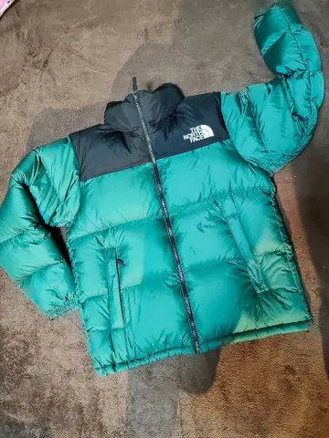 THE NORTH FACE 눕시 다운 자켓