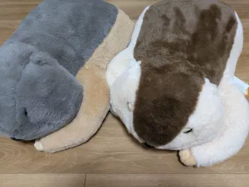 AMUFUN Dr.Marmot 봉제 인형 2종 세트