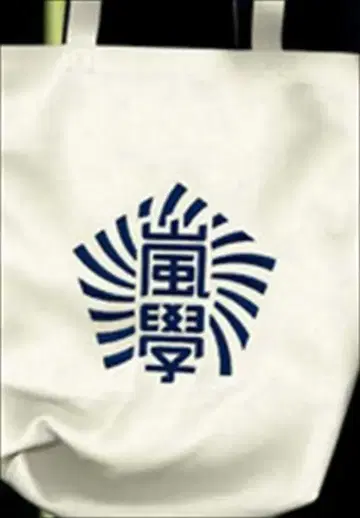 아라시 12년 와쿠와쿠 스쿨 토트백