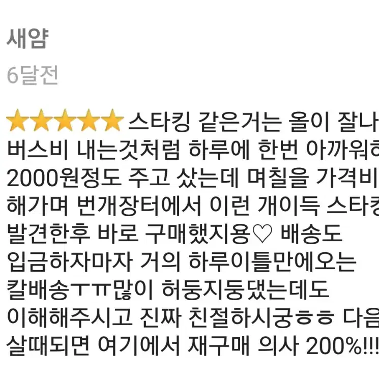 팬티스타킹 10개 (고탄력 20데니아)