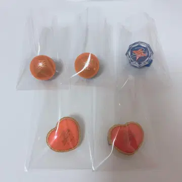 앙스타 츠키나가 레오 링라이트