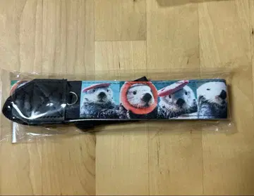 카메라 스트랩 마린월드 우미노나카미치 리로 군