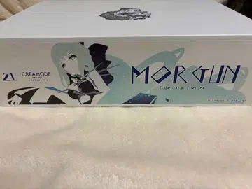 FGO 모르간 레진 키트