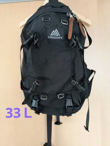 GREGORY 데이앤하프 백팩 33L