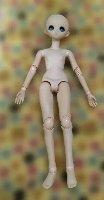 파라박스제 구체관절인형 본체 인형 소체 블루 아이