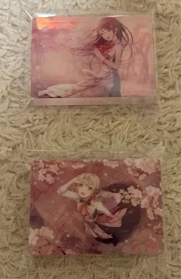 프로세카 노블 아트 코하네 이치카 벚꽃