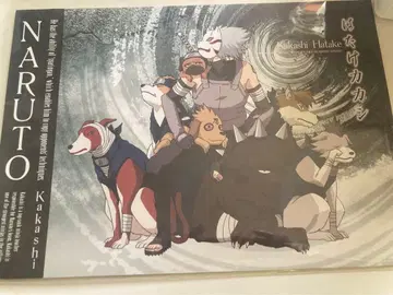 새상품 레어 초기 나루토 NARUTO 하타케 카카시