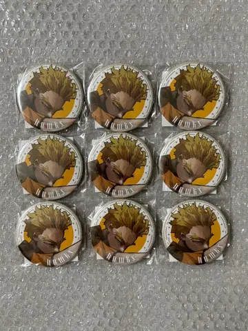 호크스 캔뱃지 신십걸 9개 세트 나의 히어로 아카데미아 히로아카