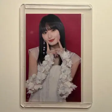 노기자카46 맨투맨 브로마이드 컴프