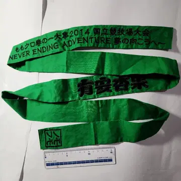 모모이로 클로버 Z 모모클로 2014 국립 경기장 대회 머리띠 그린