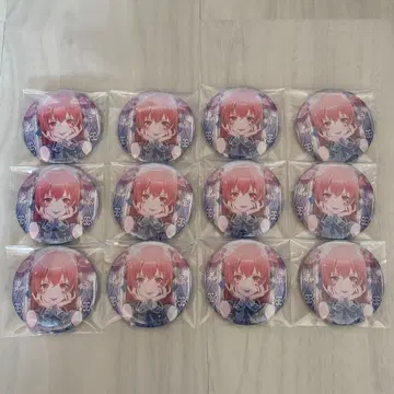프로세카 모모이 아이리