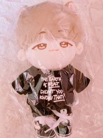 BTS 윤기 슈가 마스터 인형 20cm