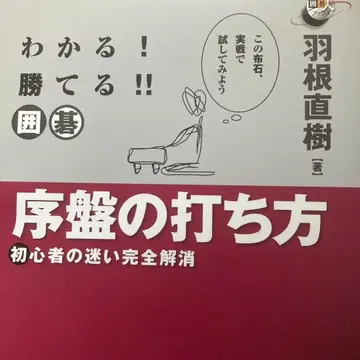 이해하고 이긴다! 바둑 초반 두는 법 : 초심자의 고민 완벽 해소