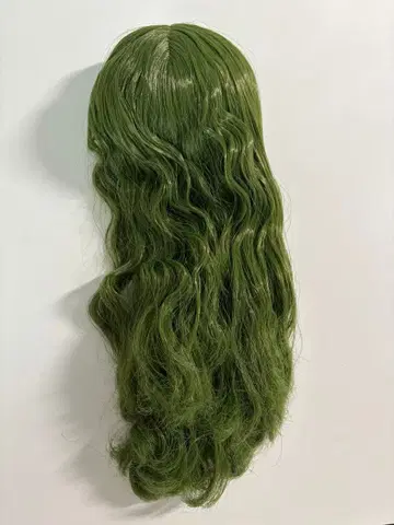 브라이스 레이디 파나시아 두피 부품