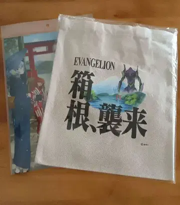 EVANGELION 하코네 습래 토트백 클리어 파일 세트