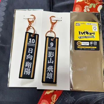 하이큐!! 플라이트 택 히나타 쇼요 카게야마 토비오 2종 세트