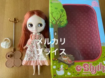 네오 브라이스 플레이리 포지 인형