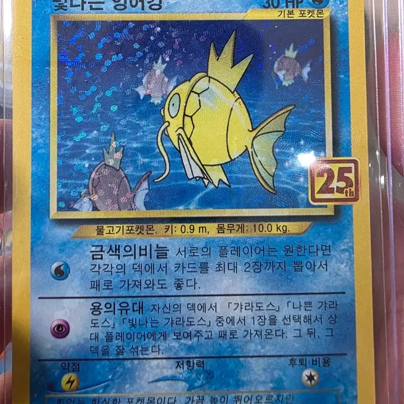 빛나는 잉어킹 25th Anniversary 에디션 25주년 프로모