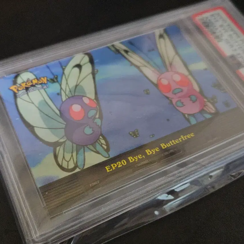 포켓몬카드 버터플 BYE BYE BUTTERFREE 2000 PSA 10 사진 2