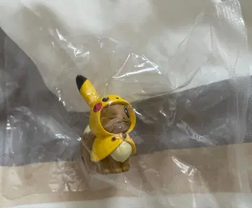피카츄 코스튬 이브이 가챠가챠