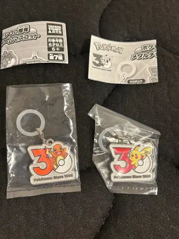 포켓몬 30주년 메탈 참 피카츄 리자드 세트