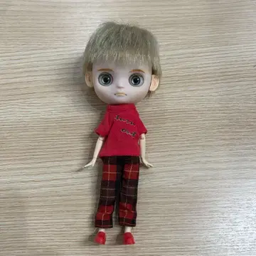 [ 커스텀 ] 오리지널 미디 브라이스 인형 본체 남아 옷 갈아입기 가능