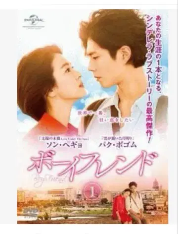 한국 드라마 보이프렌드 DVD 전 18권 세트