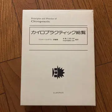 카이로프랙틱 총람 스캇 할데만 저