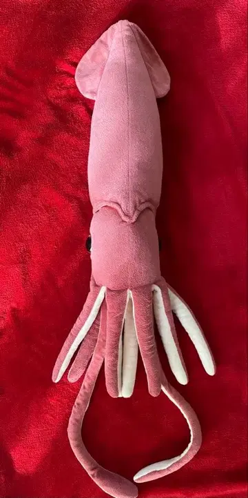 대왕오징어 big 봉제 인형
