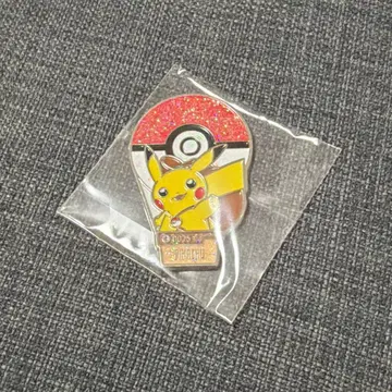 피카츄 롯데월드 마그넷