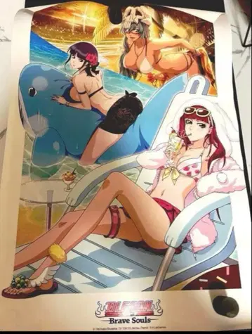 넬리에르 네넴 독가봉 리루카 브레솔 구매 혜택 포스터 A3 초레어