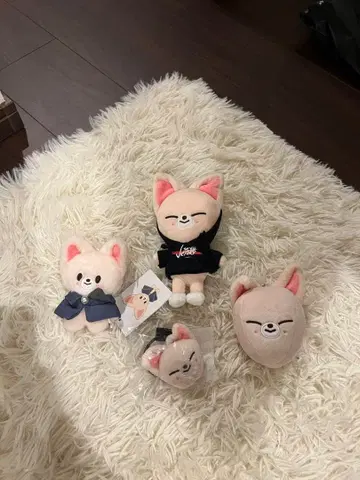 skzoo 폭시니