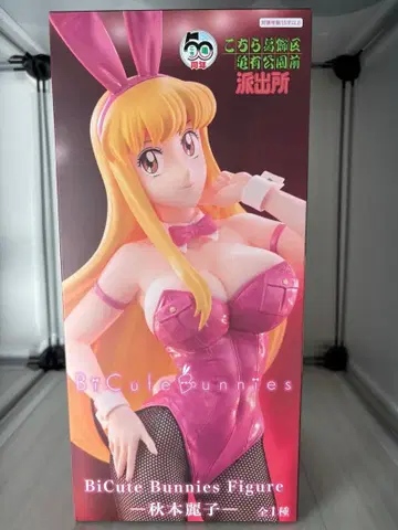 BiCute Bunnies Figure 아키모토 레이코 코치카메