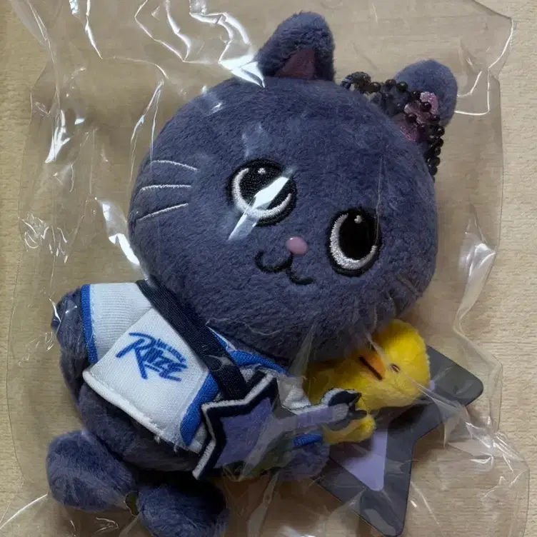 Riize Wonbin Tonyangdeok 10cm doll Riraz | Bunjang Global